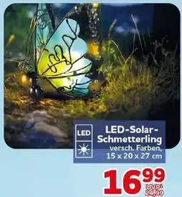 CENTERSHOP LED-Solar-Schmetterling Angebot