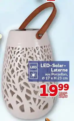 CENTERSHOP LED-Solar-Laterne aus Porzellan Angebot