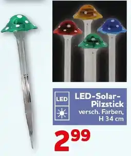 CENTERSHOP LED-Solar-Pilzstick Angebot