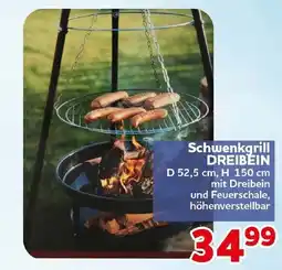CENTERSHOP Schwenkgrill DREIBEIN Angebot