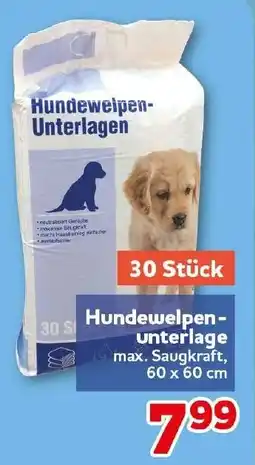 CENTERSHOP Hundewelpen-Unterlagen Angebot