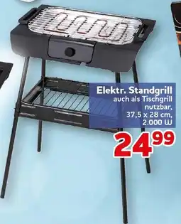 CENTERSHOP Elektr. Standgrill Angebot