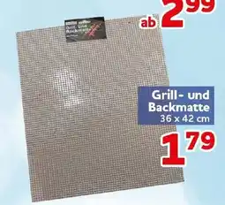 CENTERSHOP Grill- und Backmatte Angebot