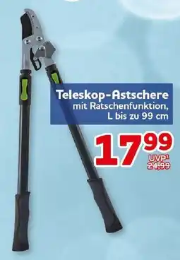 CENTERSHOP Teleskop-Astschere mit Ratschenfunktion Angebot