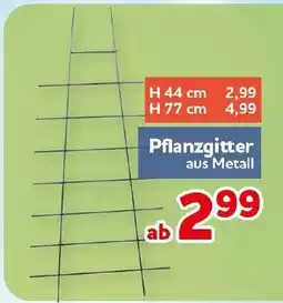 CENTERSHOP Pflanzgitter aus Metall Angebot
