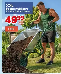 CENTERSHOP XXL-Profischubkarre Angebot