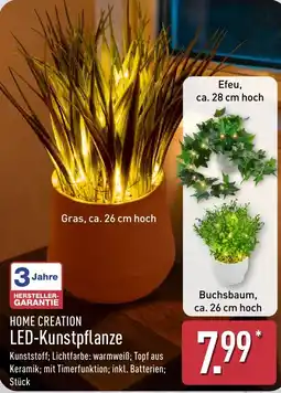 Aldi Nord HOME CREATION LED-Kunstpflanze Angebot