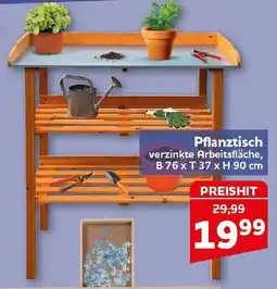 CENTERSHOP Pflanztisch Angebot
