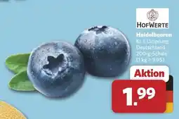 Combi HOFWERTE Heidelbeeren Angebot