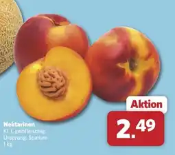Combi Nektarinen Angebot