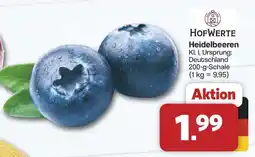 Famila Nord West HOFWERTE Heidelbeeren Angebot