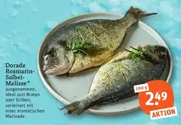tegut Dorade Rosmarin-Salbei-Melisse Angebot