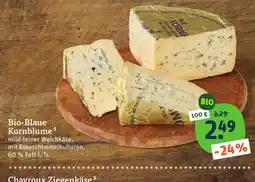 tegut Bio-Blau Kornblume Angebot