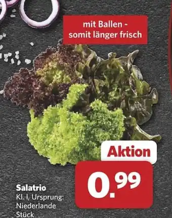 Combi Salatrio Angebot
