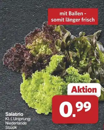 Famila Nord West Salatrio Angebot