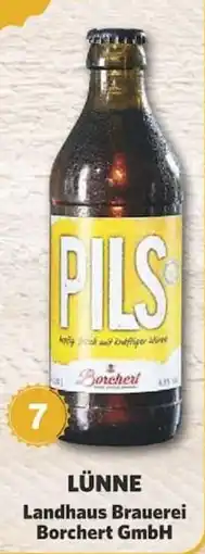 Combi Pils Borchert Angebot