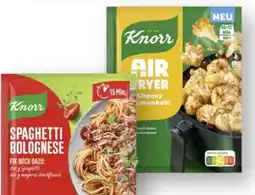 Scheck-in-Center Knorr Fix Angebot