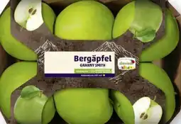 Scheck-in-Center Äpfel Granny Smith Angebot