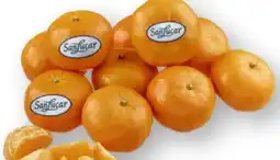 Scheck-in-Center SanLucar Mandarinen Angebot