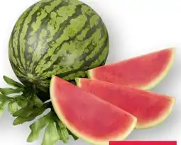 Scheck-in-Center Mini-Wassermelone Angebot