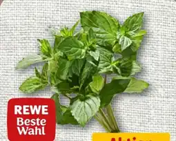 nahkauf Rewe Beste Wahl Minze Angebot