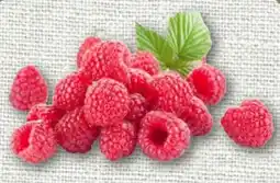 nahkauf Rewe Regional Himbeeren Angebot