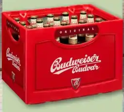 REWE Center Budweiser Budvar (CZ) Czech Premium Lager Angebot