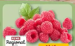 REWE Center Rewe Regional Himbeeren Angebot