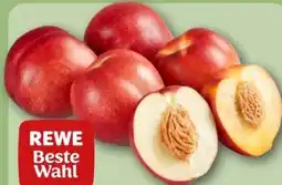 REWE Center Rewe Beste Wahl Nektarinen Angebot