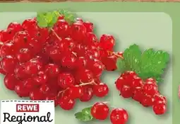 REWE Center Rewe Regional Johannisbeeren Angebot