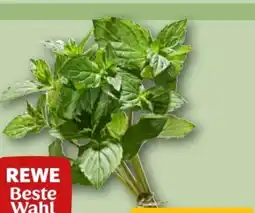 REWE Center Rewe Beste Wahl Minze Angebot