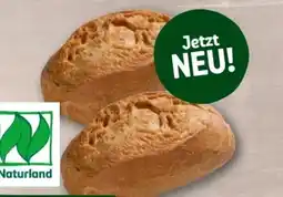 REWE Center Rewe Bio Steinofenbrötchen Angebot