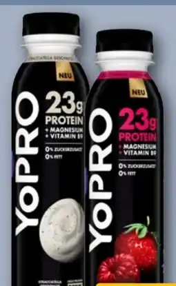 REWE Center Danone YoPro Drink Angebot