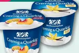 REWE Center Weihenstephan Cremig & Quarkig Angebot