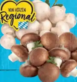 E-Center Champignons Angebot