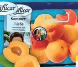 E-Center SanLucar Aprikosen Angebot