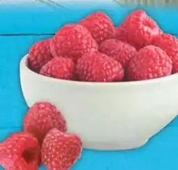 E-Center Himbeeren Angebot