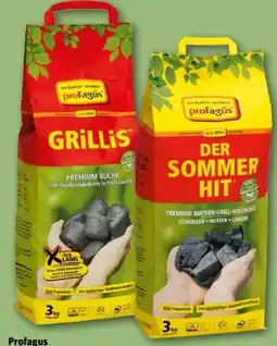REWE Center proFagus Grill-Holzkohle Angebot