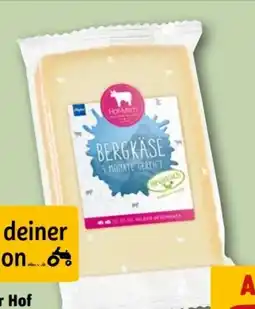 REWE Center Hof-Milch Allgäuer Bergkäse Angebot