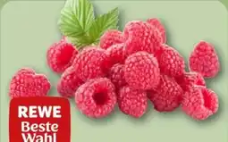 REWE Center Rewe Beste Wahl Frische Himbeeren Angebot