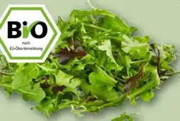 REWE Center Rewe Bio Crispy Salatmix Angebot