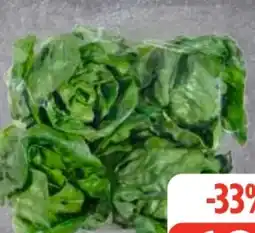 Edeka Frischemarkt Edeka Regional Romanasalatherzen Angebot