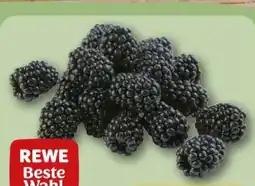 REWE Center Rewe Beste Wahl Brombeeren Angebot