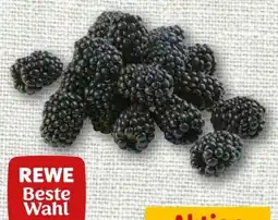 nahkauf Rewe Beste Wahl Brombeeren Angebot