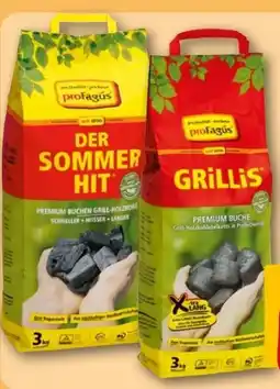 REWE Center proFagus Holzkohle Der Sommerhit Angebot
