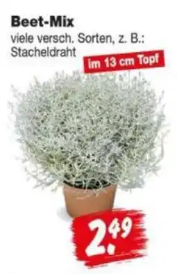 Repo Markt Beet-Mix Angebot