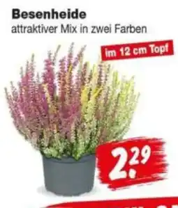Repo Markt Besenheide Angebot