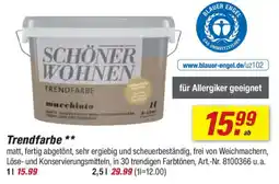 toom Baumarkt SCHÖNER WOHNEN TRENDFARBE Angebot