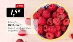 KONSUM Driscoll's Himbeeren Angebot