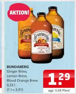 Getränke Quelle Bundaberg ginger brew Angebot